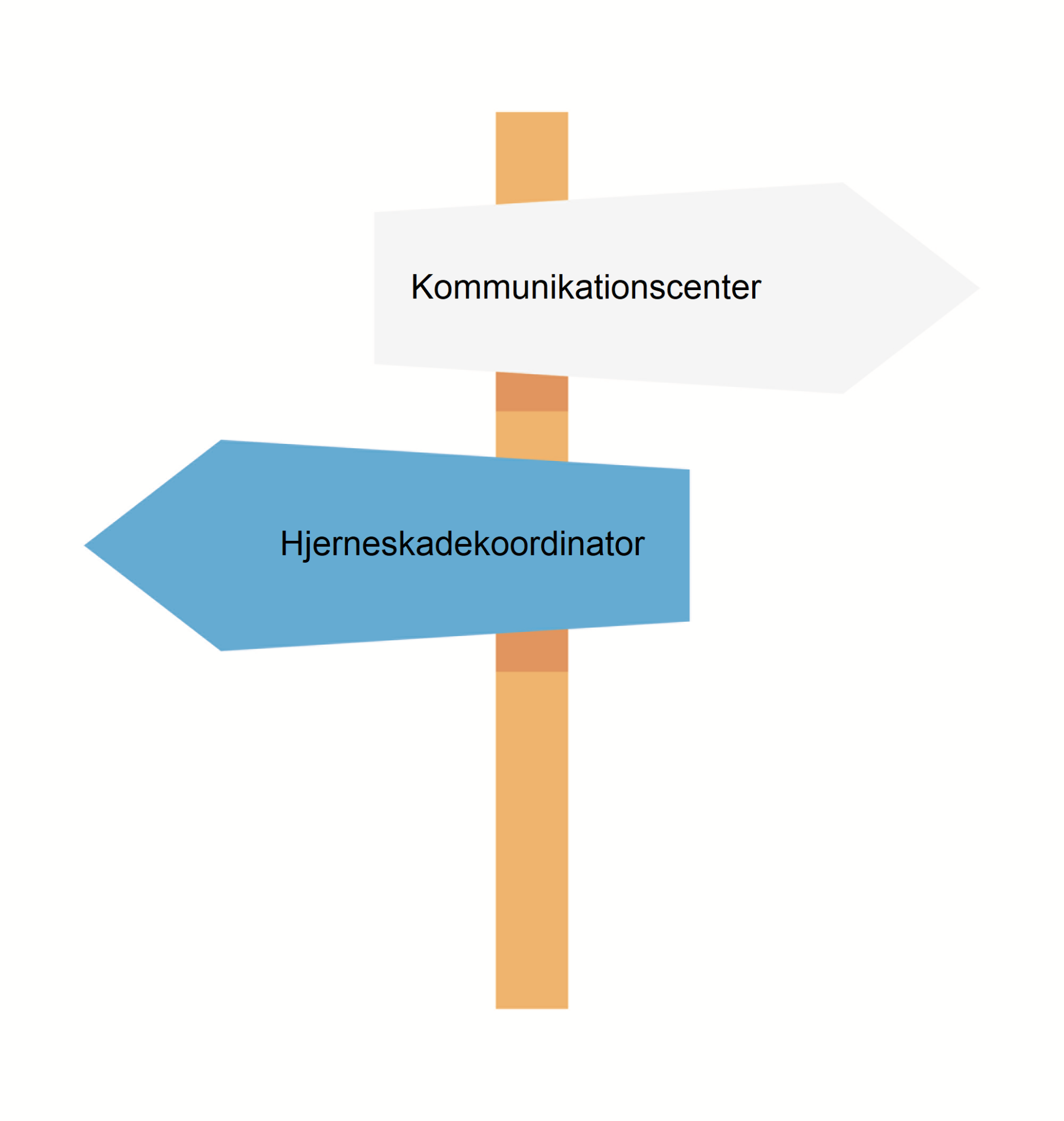 Symptomer Efter Hjernerystelse. Få Hjælp.